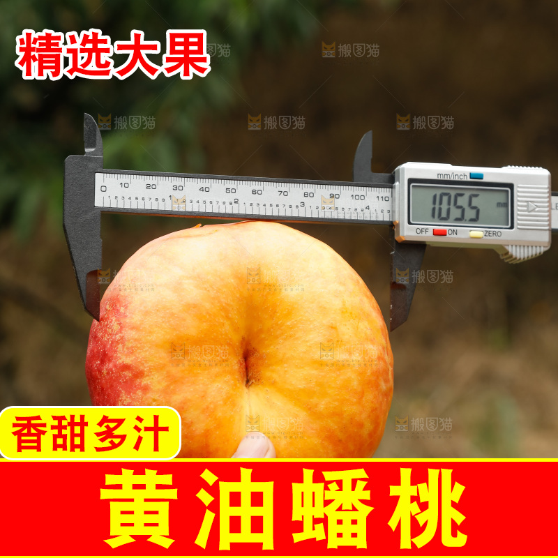 手里拿着黄油蟠桃
