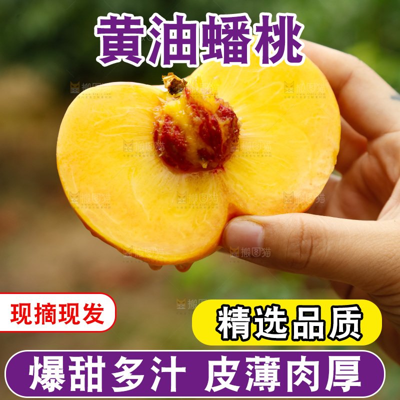 手里拿着黄油蟠桃