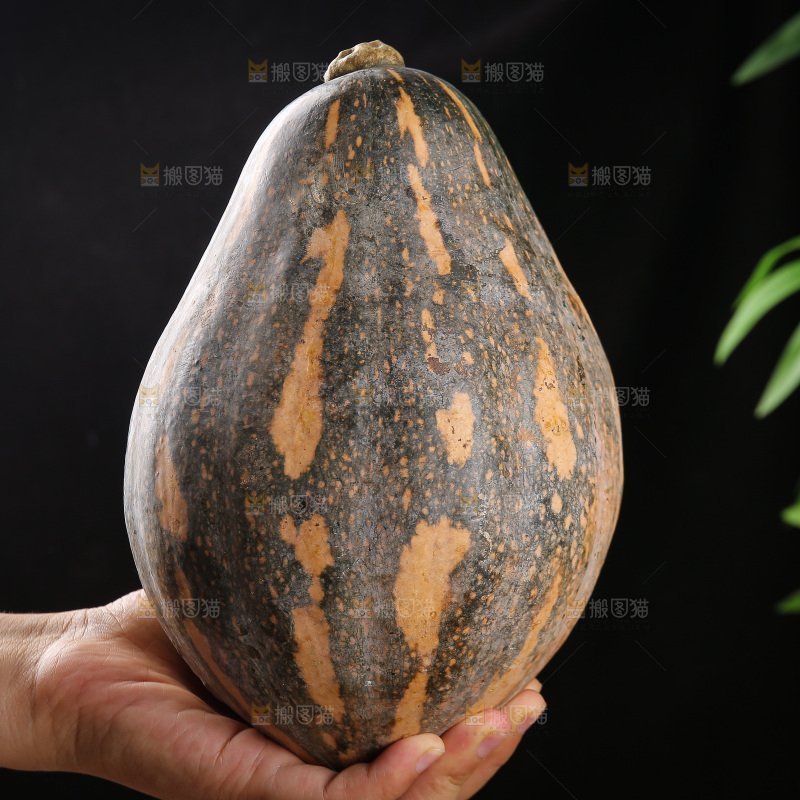 深底上的香芋南瓜