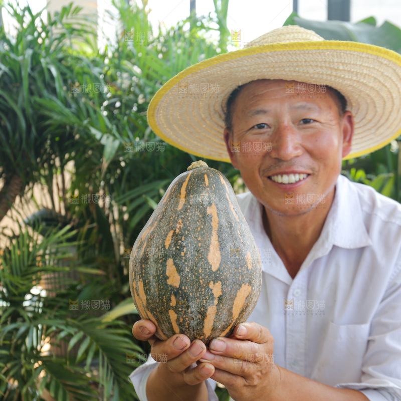 手里拿着香芋南瓜