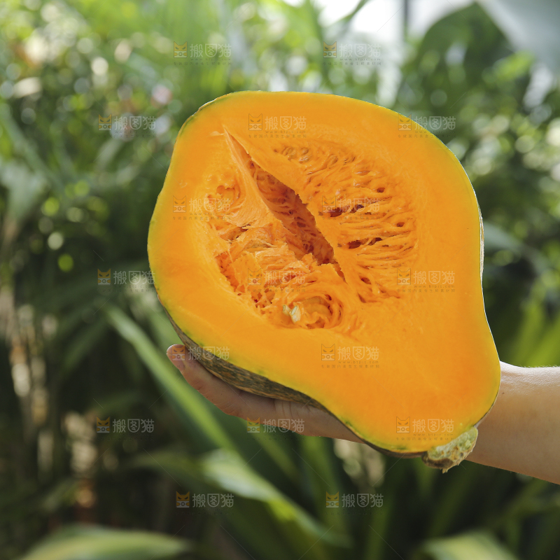 手里拿着香芋南瓜