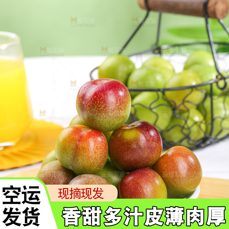 浅底上的茵红李