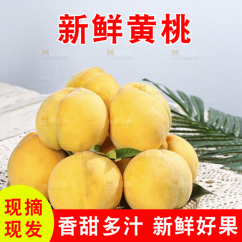浅底上的奉贤黄桃