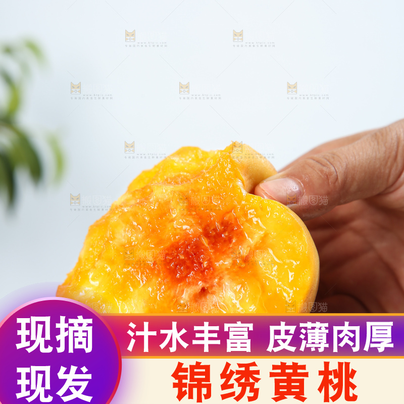 手里拿着锦绣黄桃