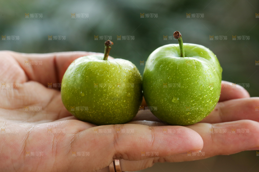 手里拿着半边红李子