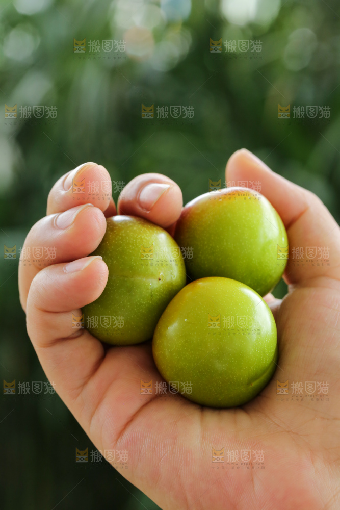 手里拿着半边红李子