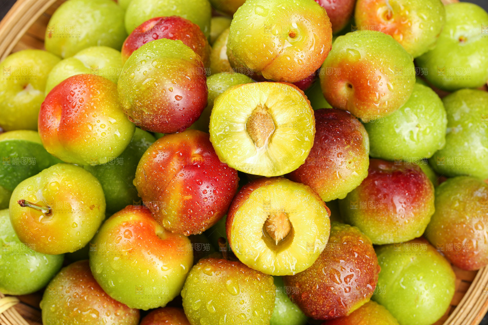 深底上的半边红脱骨李