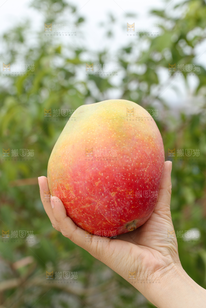 手里拿着彩虹芒