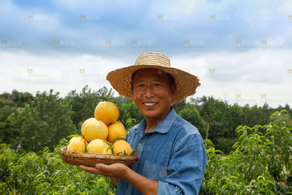 手里拿着奉贤锦绣黄桃