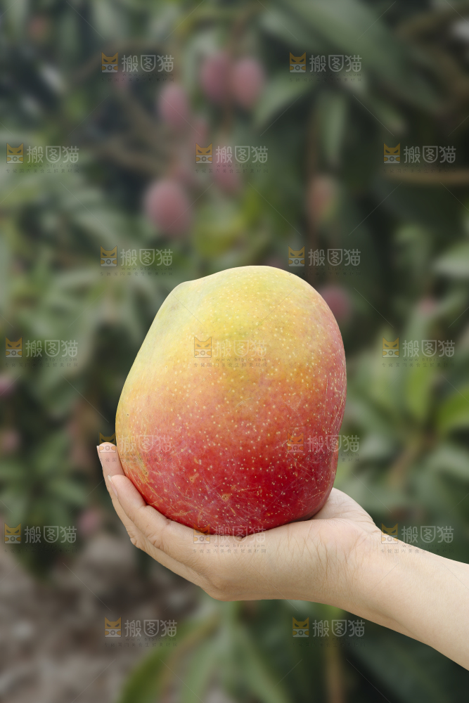手里拿着彩虹芒