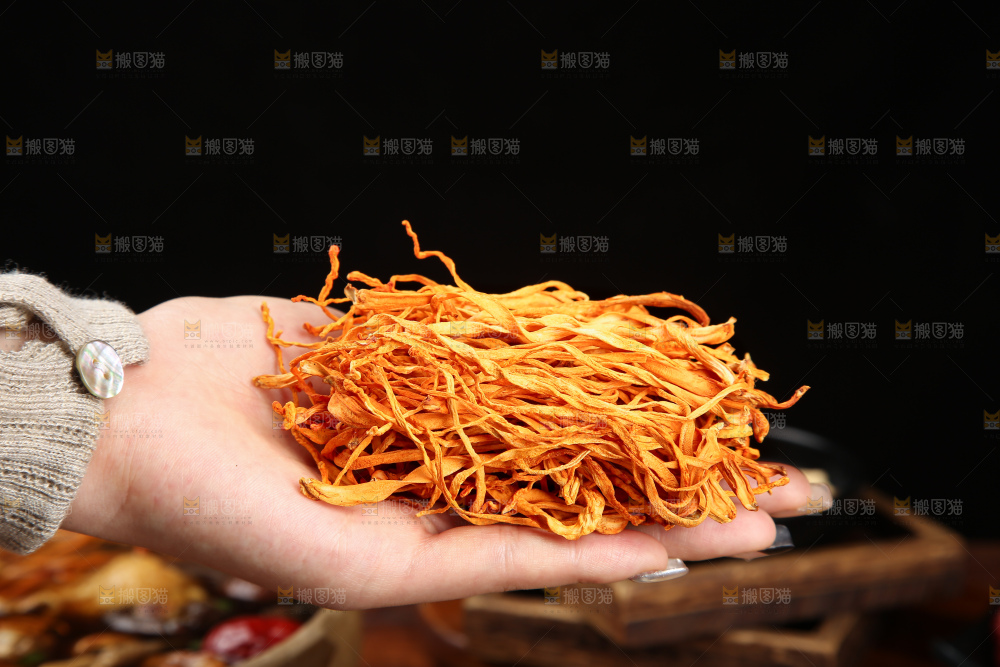木底上的七彩菌菇
