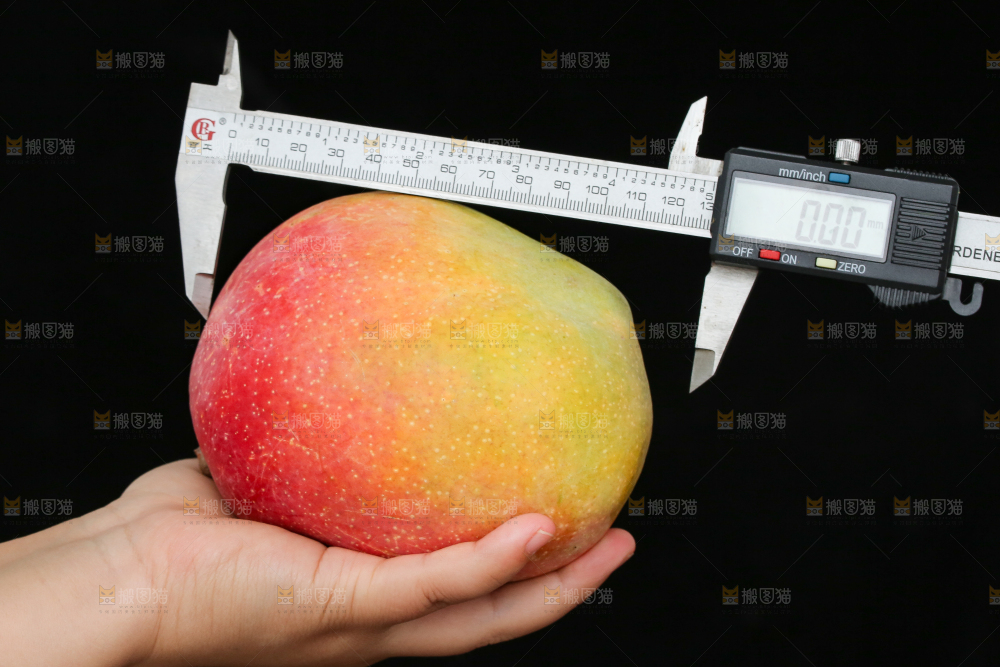 手里拿着彩虹芒