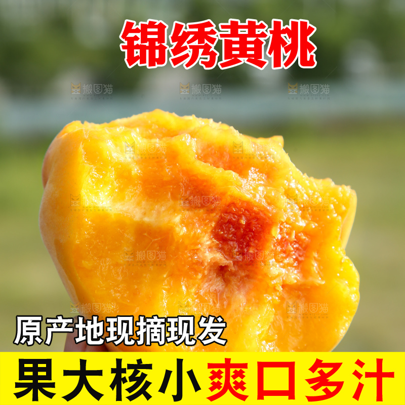 手里拿着锦绣黄桃