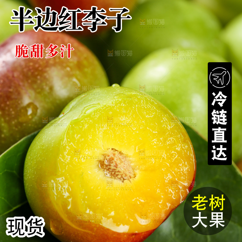 木底上的茵红脱骨李