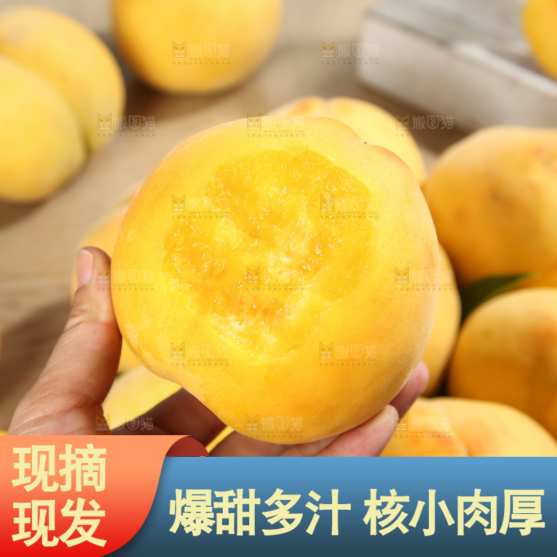 浅底上的奉贤黄桃