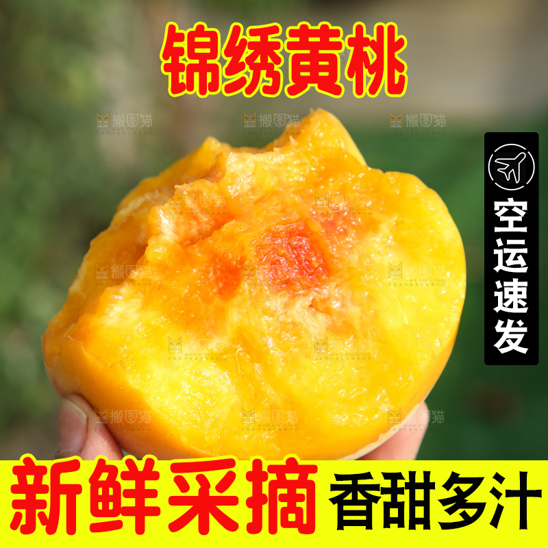 手里拿着锦绣黄桃