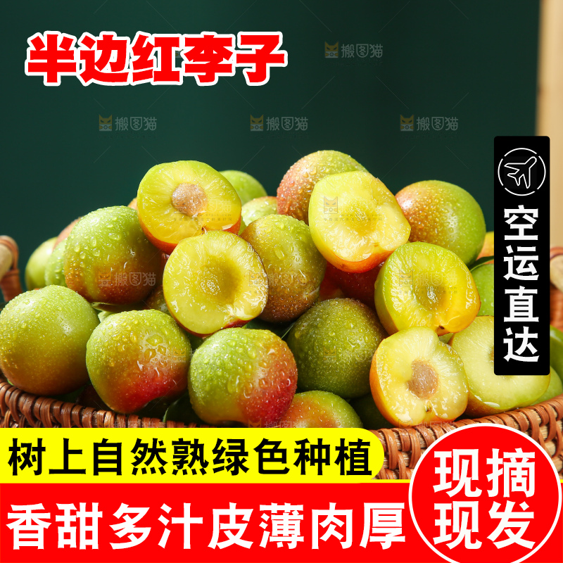 木底上的茵红脱骨李