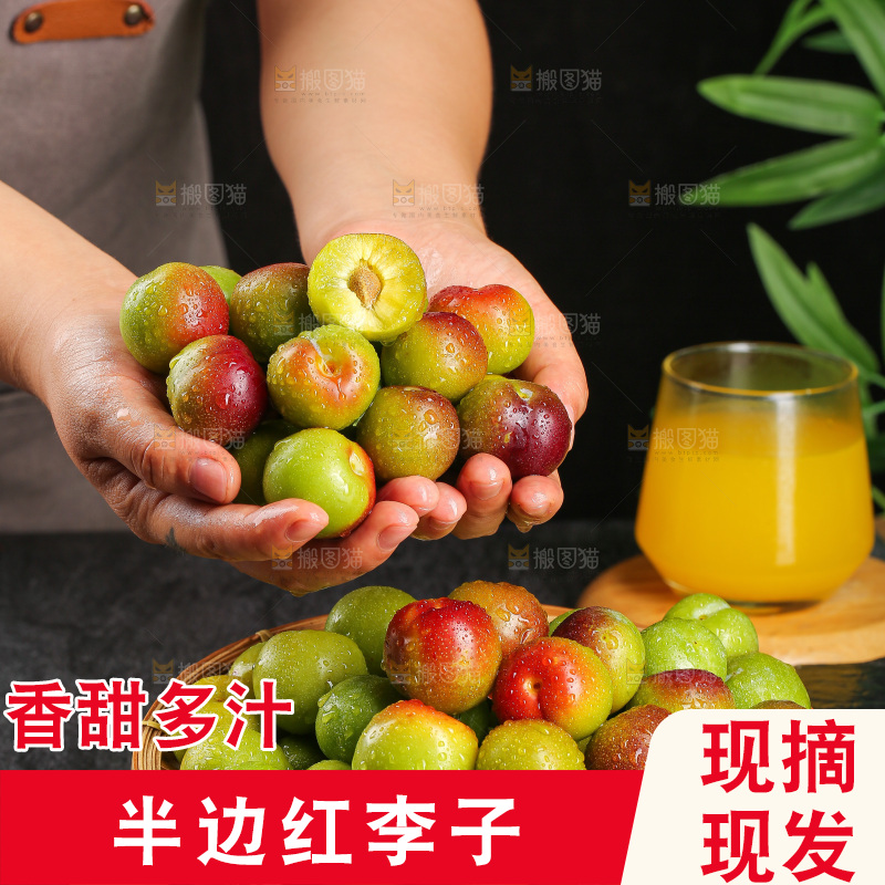 深底上的半边红脱骨李