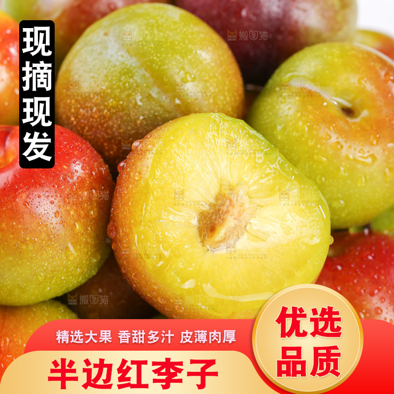 浅底上的茵红李
