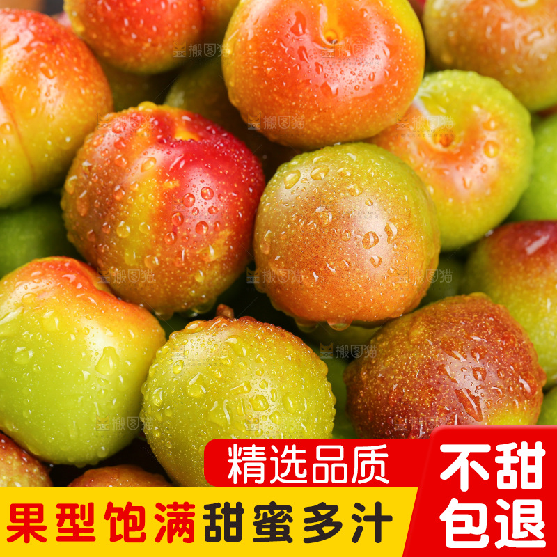 深底上的半边红脱骨李