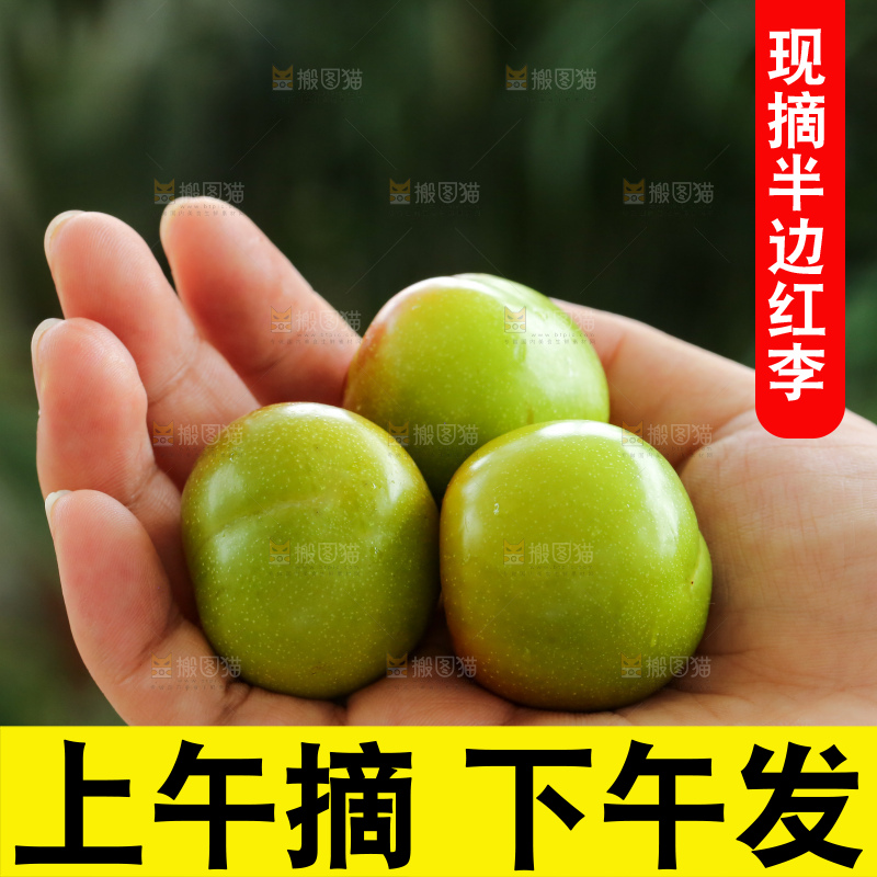 手里拿着半边红李子