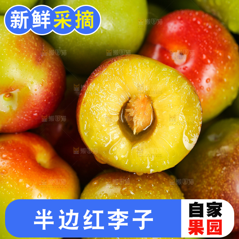 深底上的半边红脱骨李