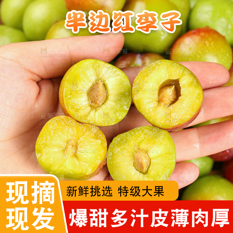深底上的半边红脱骨李