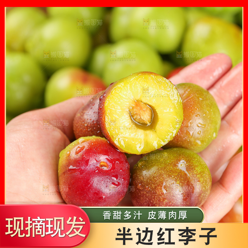 深底上的半边红脱骨李