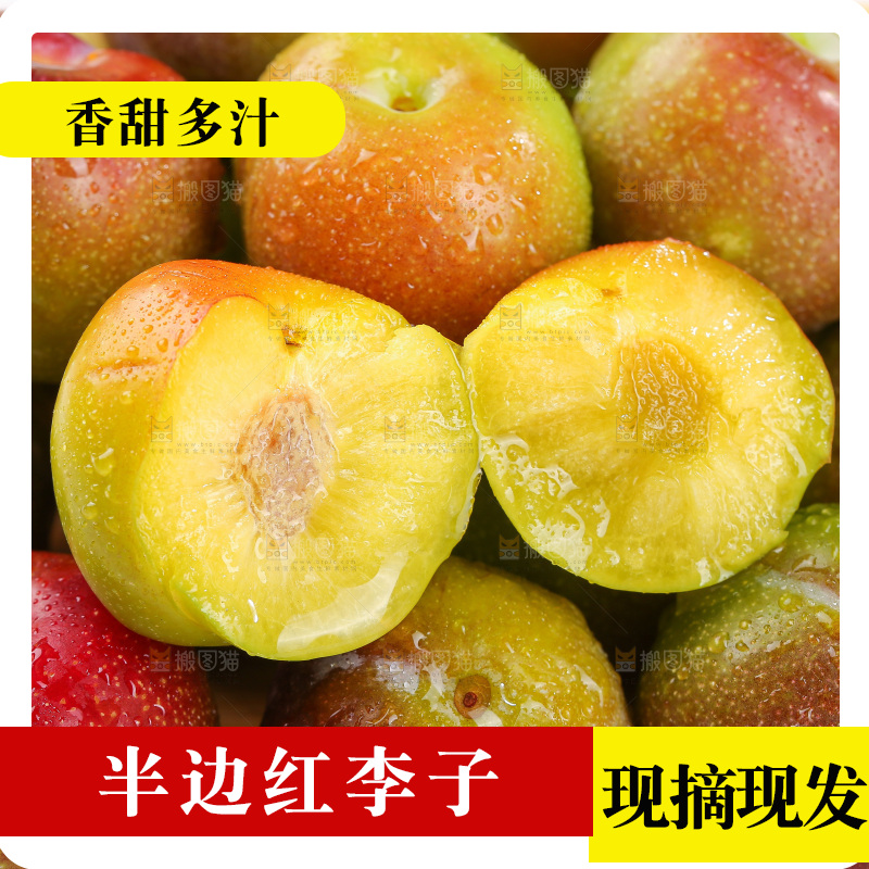 浅底上的茵红李