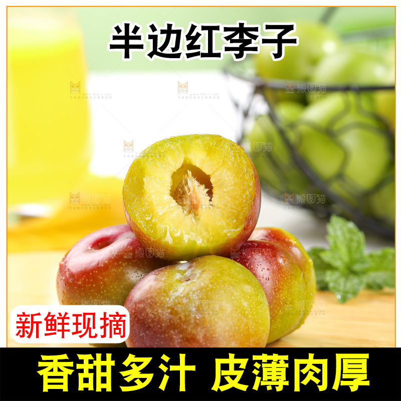 浅底上的茵红李