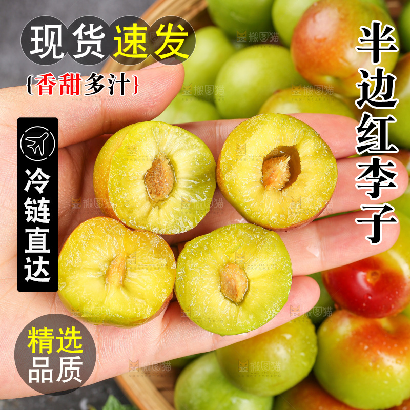 深底上的半边红脱骨李