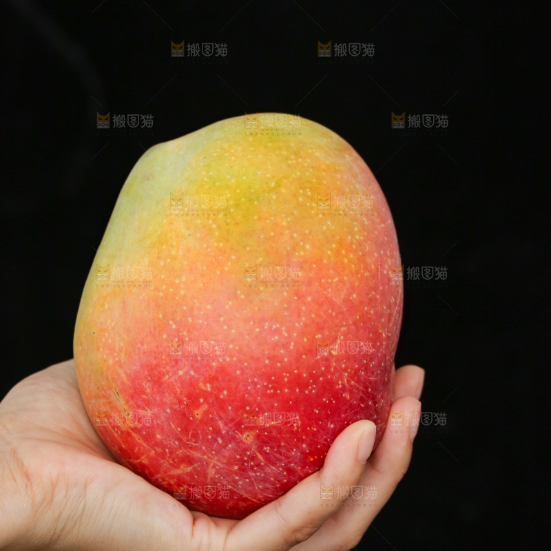 手里拿着彩虹芒