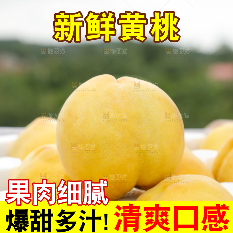 手里拿着奉贤锦绣黄桃