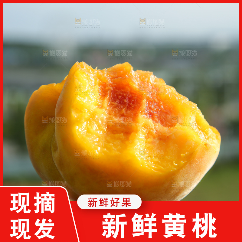 手里拿着锦绣黄桃