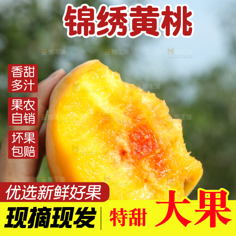 手里拿着锦绣黄桃