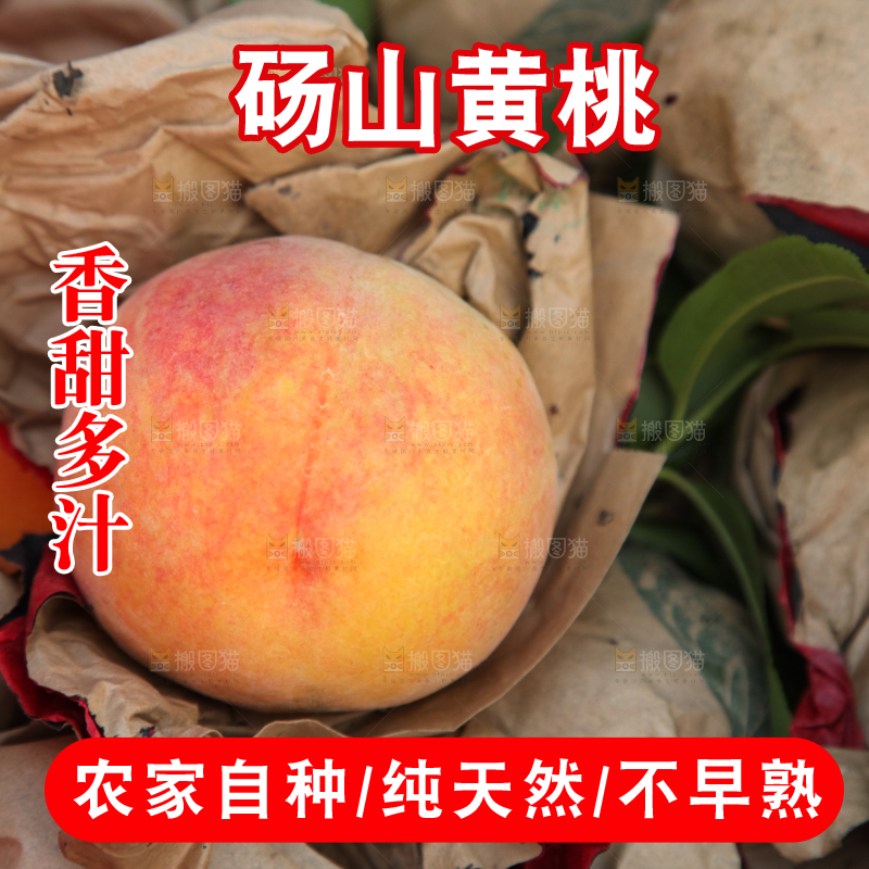 手里拿着黄毛桃