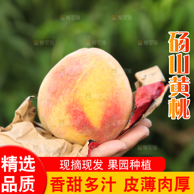 手里拿着黄毛桃