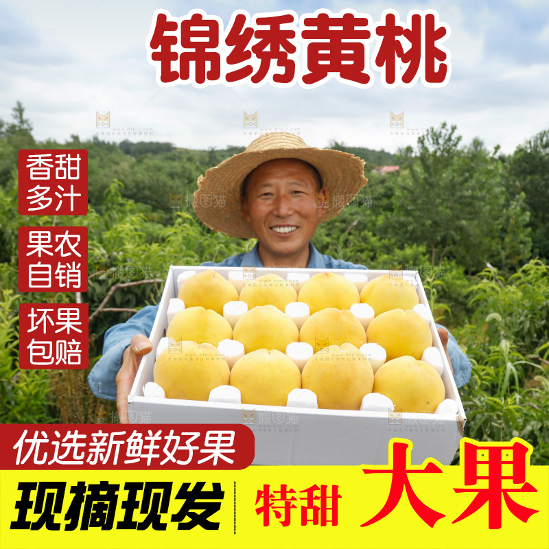 手里拿着奉贤锦绣黄桃