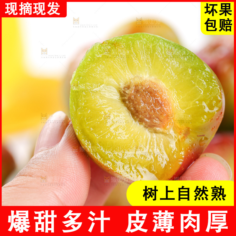 浅底上的茵红李