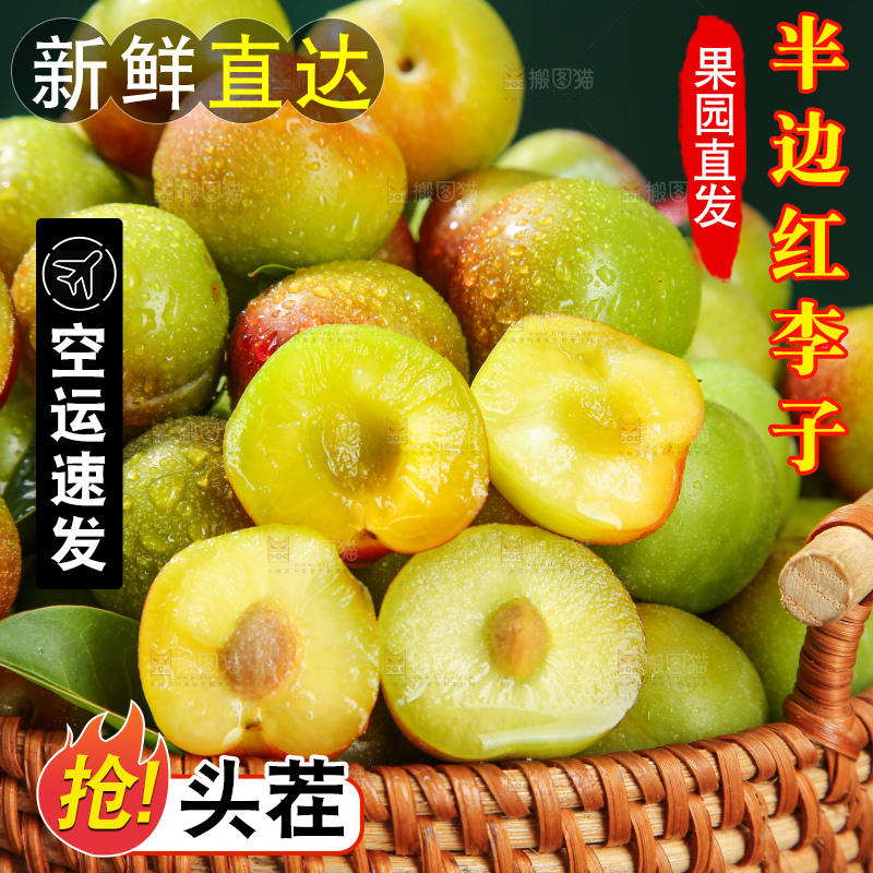木底上的茵红脱骨李