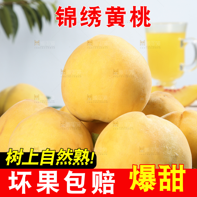 浅底上的奉贤黄桃