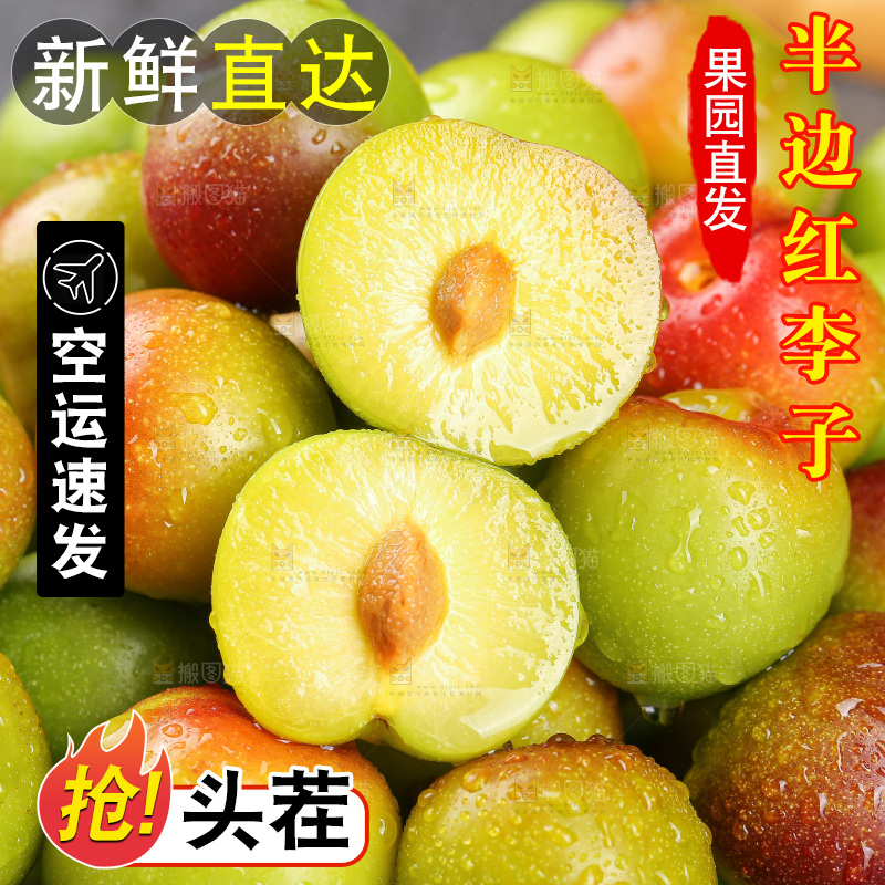 半边红脱骨李主图