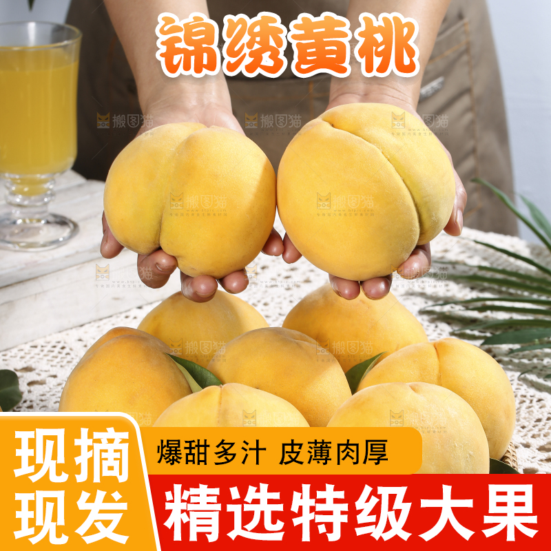 浅底上的奉贤黄桃