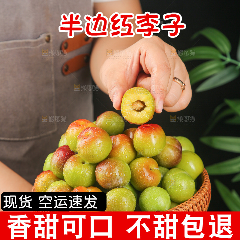 深底上的半边红脱骨李