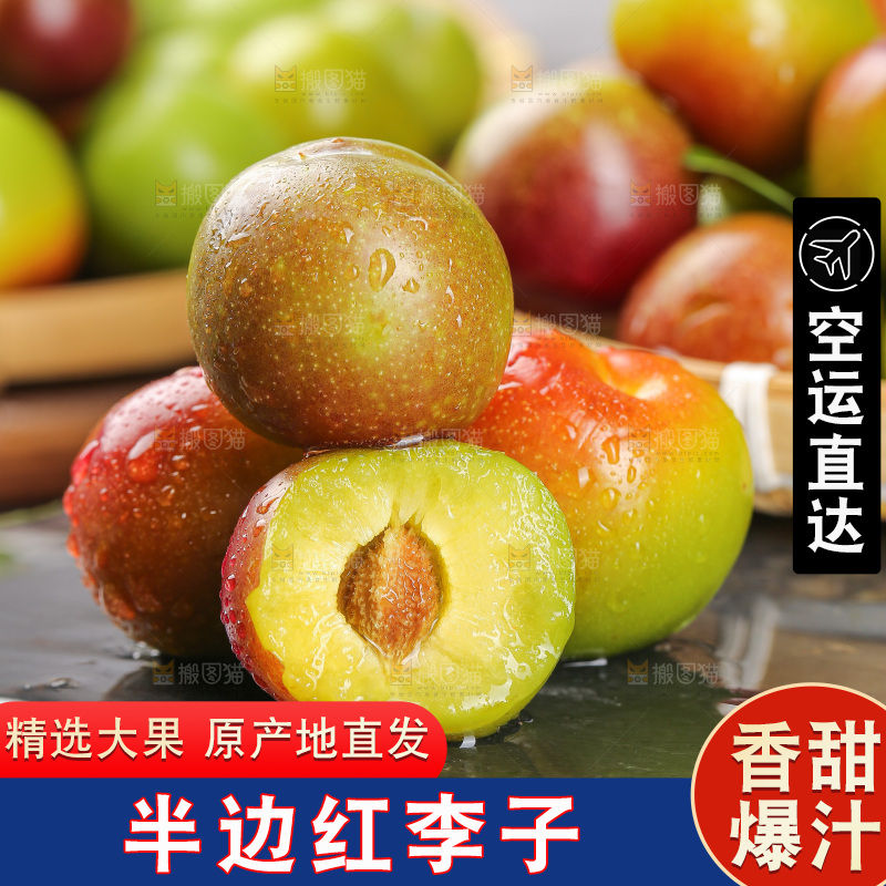 半边红脱骨李主图