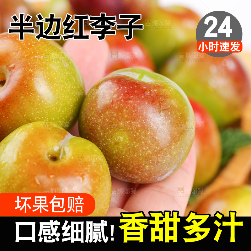 浅底上的茵红李
