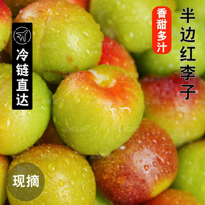 深底上的半边红脱骨李