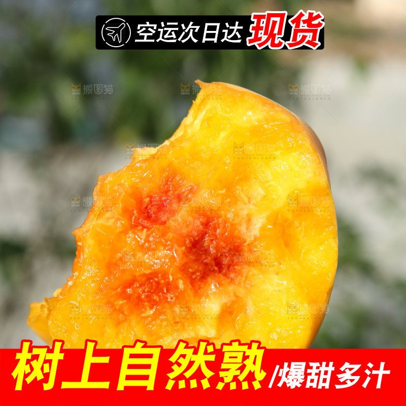 手里拿着锦绣黄桃