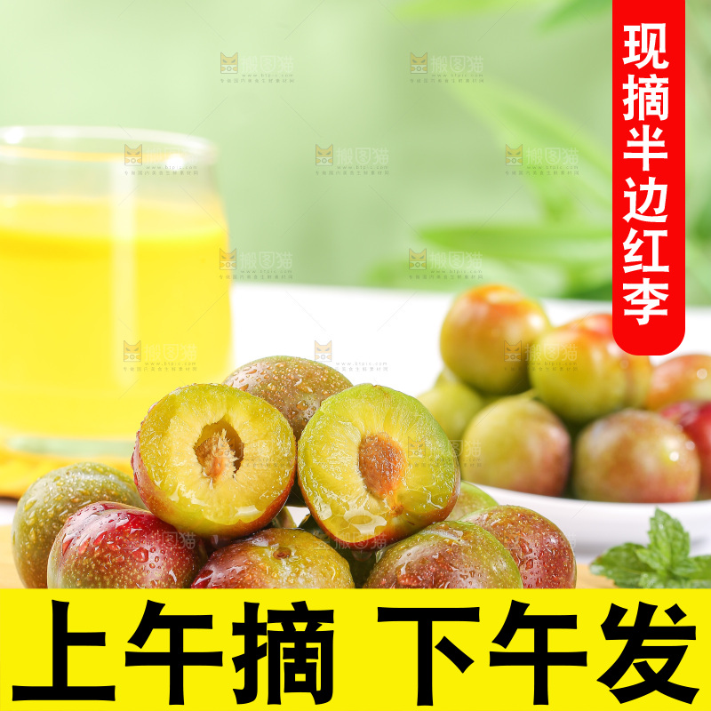 浅底上的茵红李