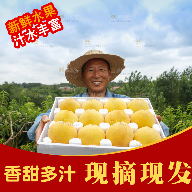 手里拿着奉贤锦绣黄桃